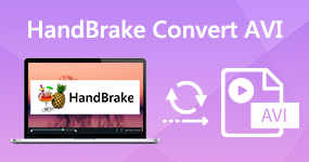 HandBrake convert avi