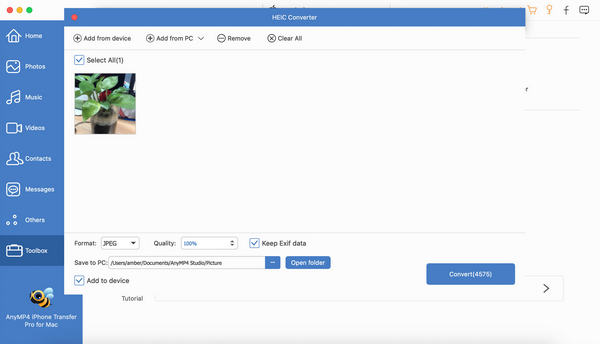 Konverter HEIC til JPG på iPhone Transfer Pro