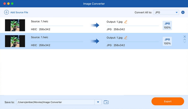 Convert HEIC to JPG with AnyMP4 Image Converter