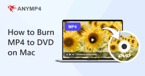 如何將 MP4 刻錄到 DVD Mac