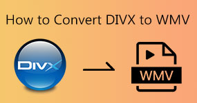 Hoe DivX naar WMV te converteren