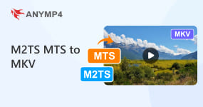 M2TS MTS To MKV