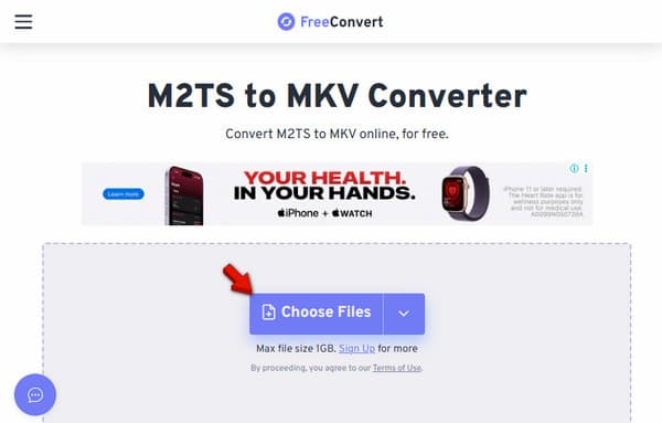 Add M2TS In FreeConvert