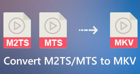 Converti video M2TS MTS in MKV