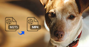 /images/converter/m2ts-to-mp4/m2ts-to-mp4.jpg
