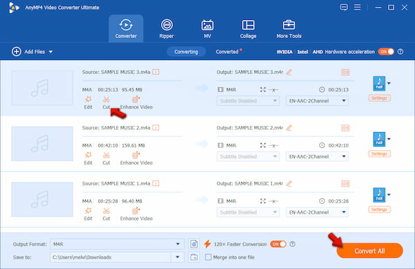 Start Conversion In AnyMP4