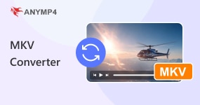 Mkv Converter