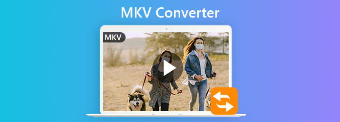 MKV轉換器