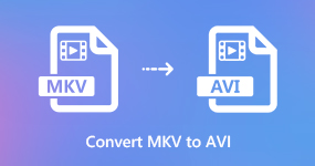 MKV в AVI