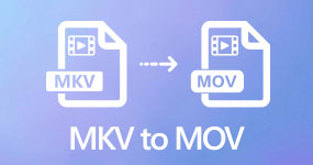 MKV到MOV轉換器