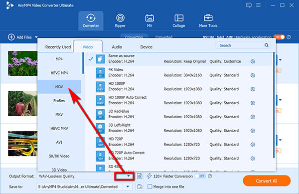 Select Mov Output Format