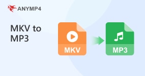 MKV To MP3