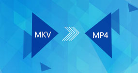 MKV MP4: lle