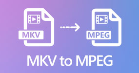 MKV til MPEG Converter