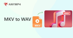 MKV to WAV