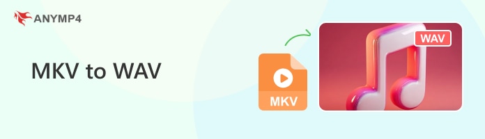 Mkv To Wav