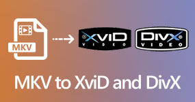 Mkv To Xvid And Divx