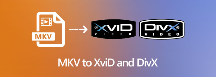 MKV til XviD og DivX