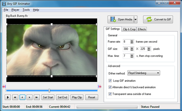 Herhangi bir GIF Animator