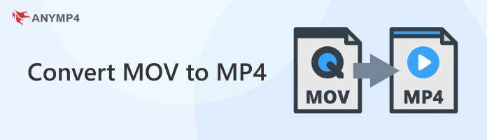 MOV til MP4