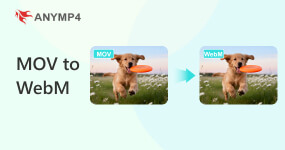MOV to WebM