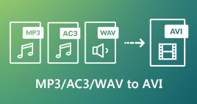 MP3 AC3 WAV til AVI