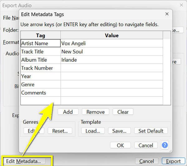 Audacity Edit Metadata