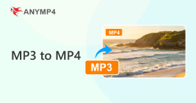 convert MP4 to WMV