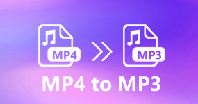 Converti MP3 in MP4