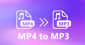 MP3 til MP4