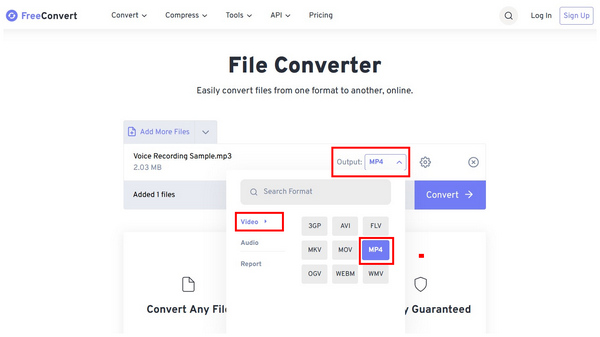Freeconvert Output Mp4