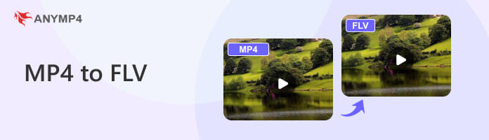 MP4 To Flv