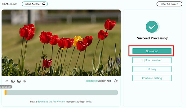 Convert Mp4 To Flv In Anymp4 Free Video Converter