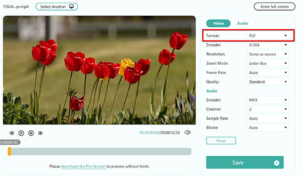 Output Flv Online In Anymp4 Free Video Converter