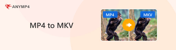 Mp4 To Mkv