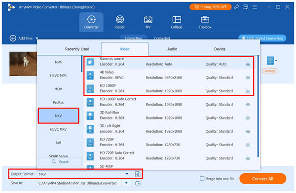 Anymp4 Video Converter Ultimate Output Format Mkv