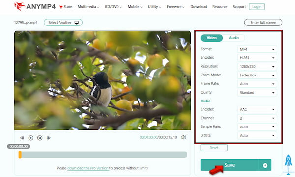Process Mp4 For Conversion In Anymp4 Free Online Video Converter