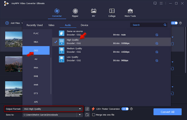 Set Ogg As Target Format In Anymp4 Video Converter Ultimate
