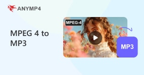 Mpeg4 To Mp3