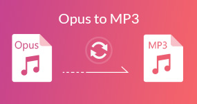 Opus To MP3
