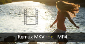 Remux MKV到MP4