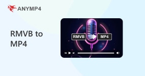 RMVB to MP4