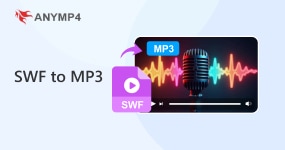 Da SWF a MP3