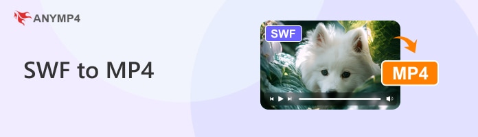 Da SWF a MP4