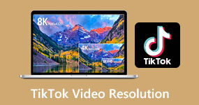 TikTok Resolution