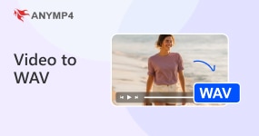 Video To Wav