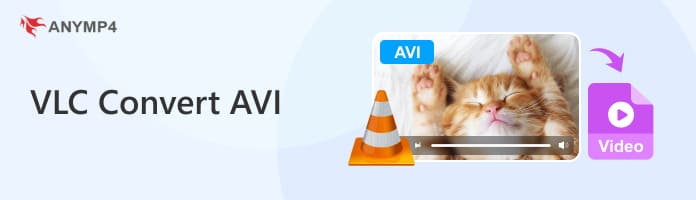 Plex Mkv