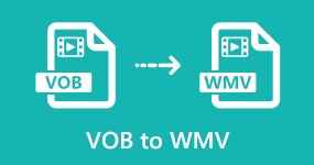 VOB in WMV