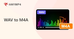 Best Webcam Recorder