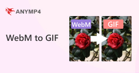 WebM a GIF